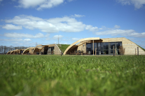 Foto di lodge moderni con facciate in legno e design curvo su un prato verde sotto il cielo azzurro.