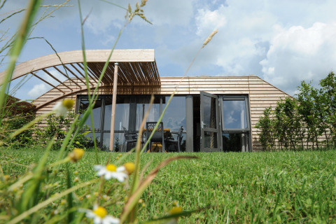 Et moderne træhus med store vinduer, græsplæne og vilde blomster i forgrunden under en blå himmel.