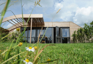 Et moderne træhus med store vinduer, græsplæne og vilde blomster i forgrunden under en blå himmel.
