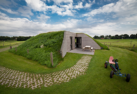 Met gras begroeide lodge met houten gevel en picknicktafel bij Koe in de Kost 4, te midden van velden.