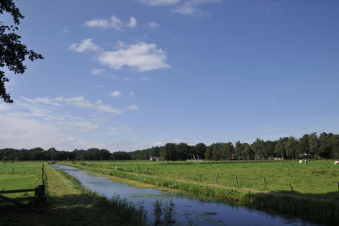 Landskabsbillede fra en lodge med en å, grønne marker, kvæg og skov under en blå himmel med skyer.