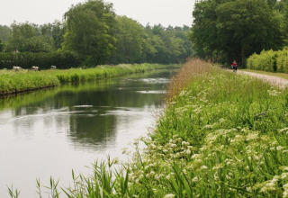 Rustig kanaal bij een lodge met bloemrijke oevers, koeien en een fietspad tussen groene bomen.