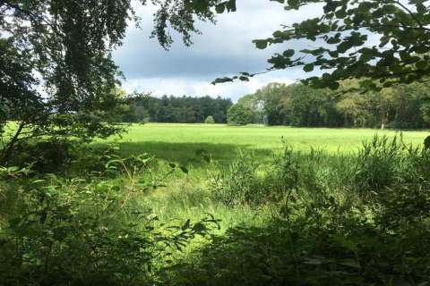 Udsigt over en grøn eng fra et lodge, omgivet af træer og mark under en delvist overskyet himmel.