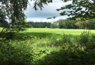 Uitzicht vanaf een lodge op een groene weide, omgeven door bomen en een deels bewolkte lucht erboven.