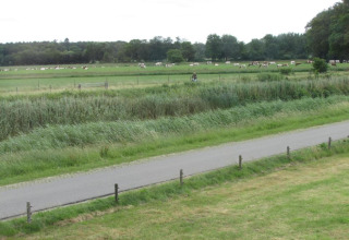 Udsigt fra en lodge over en landevej, grønne marker, kvæg græsser i det fjerne og træer bagved.