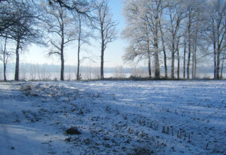 Snedækket landskab ved lodgen 'Koe in de Kost 2' i Nederlandene med frostklædte træer og blå himmel.
