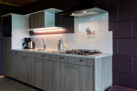 Cucina moderna al lodge Koe in de Kost 3 nei Paesi Bassi con mobili in legno e piastrella a mucca.