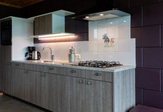 Cucina moderna al lodge Koe in de Kost 3 nei Paesi Bassi con mobili in legno e piastrella a mucca.