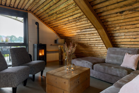 Soggiorno accogliente al lodge 'Koe in de Kost 3' nei Paesi Bassi con pareti in legno e camino moderno.