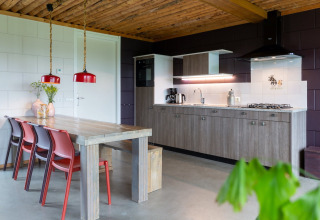 Cucina e sala da pranzo moderna con lampade rosse e soffitto rustico presso Koe in de Kost 3 nei Paesi Bassi.