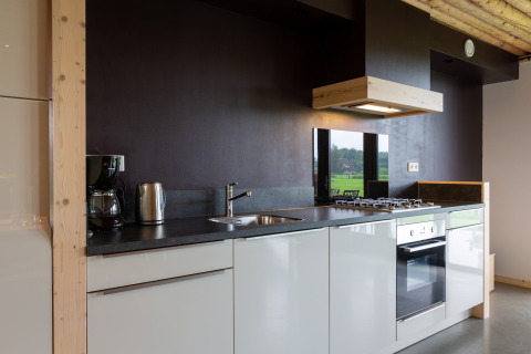 Moderne keuken in Koe in de Kost 4 lodge, Nederland, met oven, gaskookplaat en uitzicht op het groen.