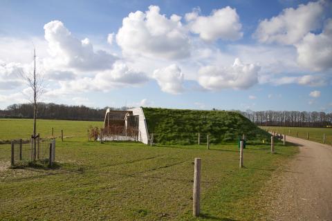 Met gras bedekte lodge 'Koe in de Kost 4' in Nederland, gelegen in open landschap met blauwe lucht.