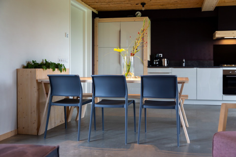 Moderne eetruimte en keuken in lodge Koe in de Kost 4 in Nederland met strak houten interieur en planten.