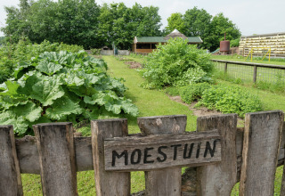 Moestuin met houten bord 'MOESTUIN' aan het hek, gefotografeerd bij Koe in de Kost 4 in Nederland.