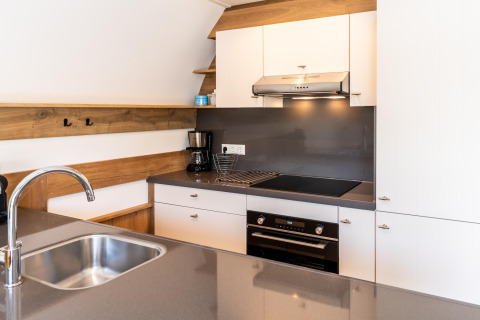 Modern kitchen at ’t Landgoed Baars 1 lodge in the Netherlands featuring stove, oven, and sink area.