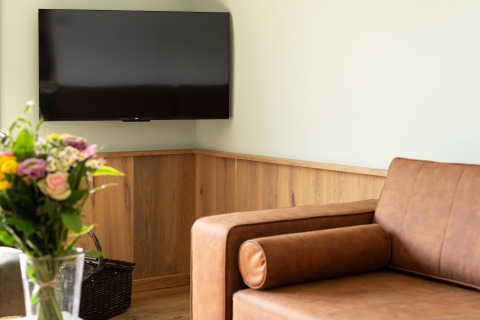 Modern lounge with brown sofa, fresh flowers, and wall-mounted TV at 't Landgoed Baars 1 in the Netherlands.
