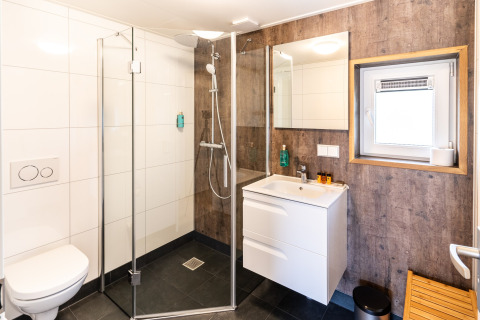 Modern bathroom with glass shower, toilet, sink, and mirror at 't Landgoed Baars 1 lodge in the Netherlands.