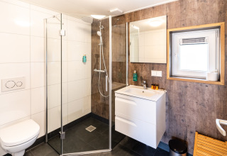 Modern bathroom with glass shower, toilet, sink, and mirror at 't Landgoed Baars 1 lodge in the Netherlands.