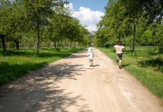 Two children running on a country road lined with trees at 't Landgoed Baars 1 in the Netherlands.