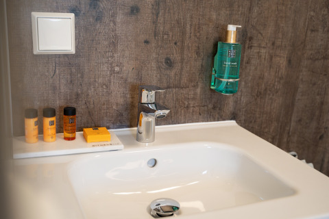 Modern bathroom sink with toiletries and a wall-mounted hand wash dispenser at 't Landgoed Baars 1, Netherlands.