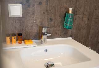 Modern bathroom sink with toiletries and a wall-mounted hand wash dispenser at 't Landgoed Baars 1, Netherlands.