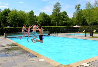 Vier jongeren springen in het zwembad van Residence De Eese 3, omringd door groen en natuur.
