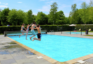 Vier jongeren springen samen in het zwembad van Residence De Eese 3 in Nederland, omgeven door natuur.