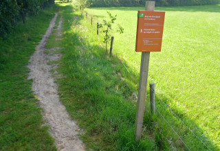 Pad naast grasveld met infobord bij lodge Kop van Overijssel De Woldberg op een zonnige dag.