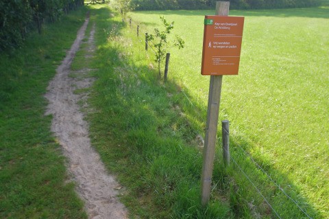 Pad naast een grasveld met informatiebord bij lodge Kop van Overijssel De Woldberg in het zonlicht.