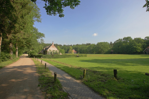 Lyst sommerlandskab ved Residence De Eese 22 i Holland med grønne marker, hus og skov i baggrunden.