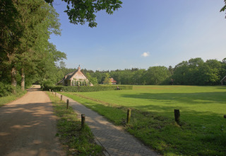 Lyst sommerlandskab ved Residence De Eese 22 i Holland med grønne marker, hus og skov i baggrunden.