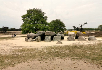 Foto von großen alten Steinen, die im Sand nahe grüner Bäume bei einer Glamping-Unterkunft arrangiert sind.