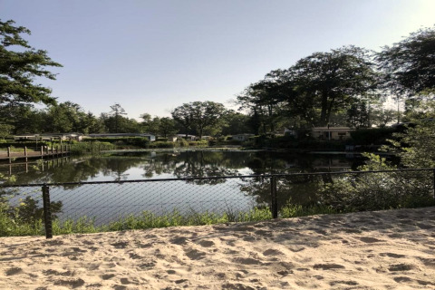 Uitzicht op een sereen meer en bomen vanop een zandplek met hek bij een glampingverblijf.