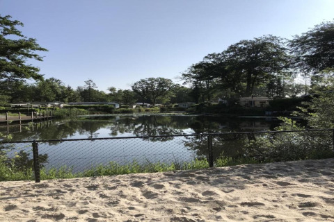 Uitzicht op een rustig meer en bomen vanaf een zandstrand met hek bij een glamping accommodatie.