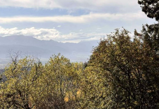 Zicht op weelderige bomen en verre bergen vanaf de Residence De Eese 3 lodge in Nederland op een heldere dag.