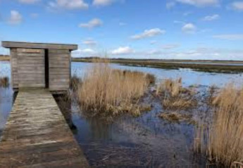 Pequeña cabaña de madera con pasarela sobre marismas y agua, tomada en un alojamiento glamping.