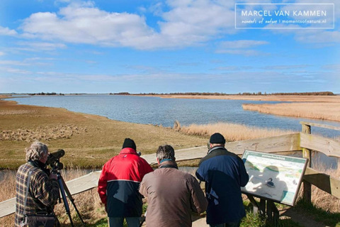 Four people enjoy birdwatching by a scenic lake near a glamping accommodation in natural surroundings.