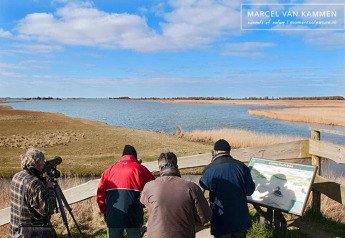 Four people enjoy birdwatching by a scenic lake near a glamping accommodation in natural surroundings.