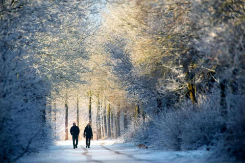 Deux personnes marchent sur un chemin enneigé dans une forêt près d’un hébergement glamping en hiver.