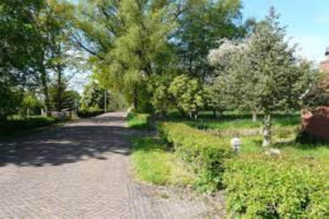 Chemin de gravier paisible bordé d’arbres et de haies dans un hébergement glamping par journée ensoleillée.