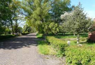Chemin de gravier paisible bordé d’arbres et de haies dans un hébergement glamping par journée ensoleillée.