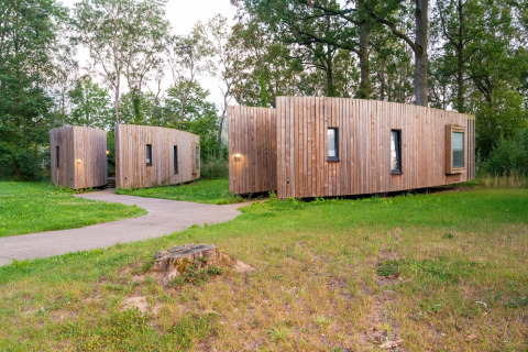 Ein modernes Tiny House aus Holz steht in einer grünen Waldlandschaft umgeben von Bäumen.