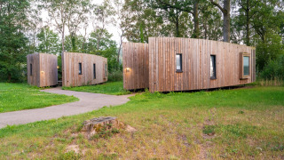 Een modern tiny house van hout staat in een groene, bosrijke omgeving omgeven door bomen en gras.