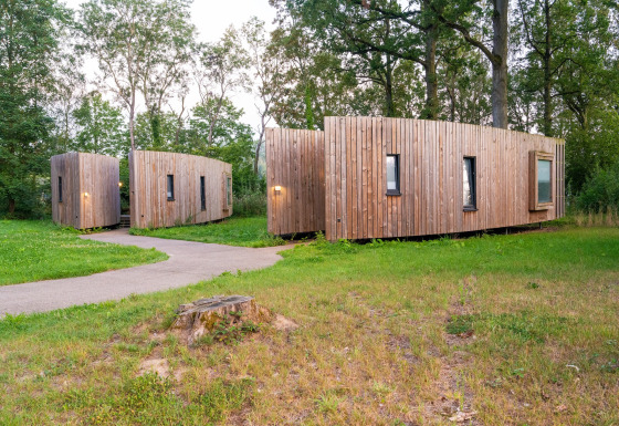 A modern tiny house with wooden siding is set in a green wooded area surrounded by trees and grass.