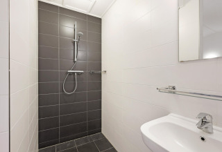 Modern shower and sink with dark tiles at Water park De Bloemert 6 lodge in the Netherlands.