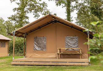 Tienda safari en el parque vacacional Hunzedal 15 en Países Bajos, con terraza y banco de madera.