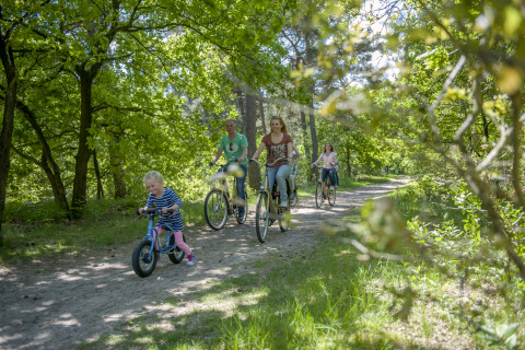 Gezin fietst samen door een groen bos bij een safaritentlocatie op een zonnige en stralende dag.
