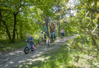 Gezin fietst samen door een groen bos bij een safaritentlocatie op een zonnige en stralende dag.