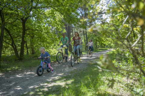 Family cycling together through a lush green forest near a safari tent site on a bright, sunny day.