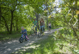 Familiecykeltur gennem en grøn skov nær en safaritelteplads på en solrig dag i naturen.